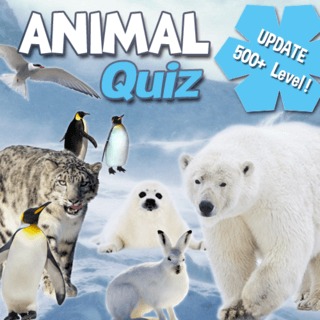 Quiz Games - Animal Quiz