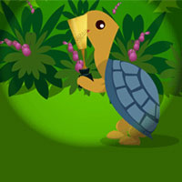 The Hare and the Tortoise