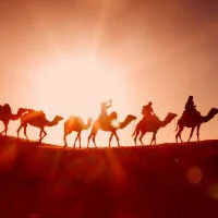 17 Camels and 3 Sons