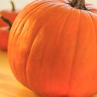 The Massive Pumpkin